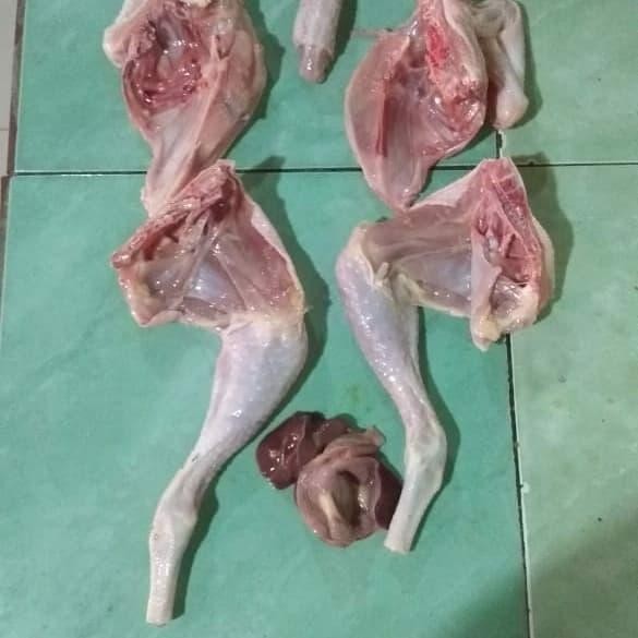 

BeliSkrg,KirimHariini- ayam pejantan 650-700 gram