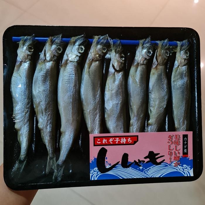 

BeliSkrg,KirimHariini- Shisamo fish ikan shisamo capelin frozen