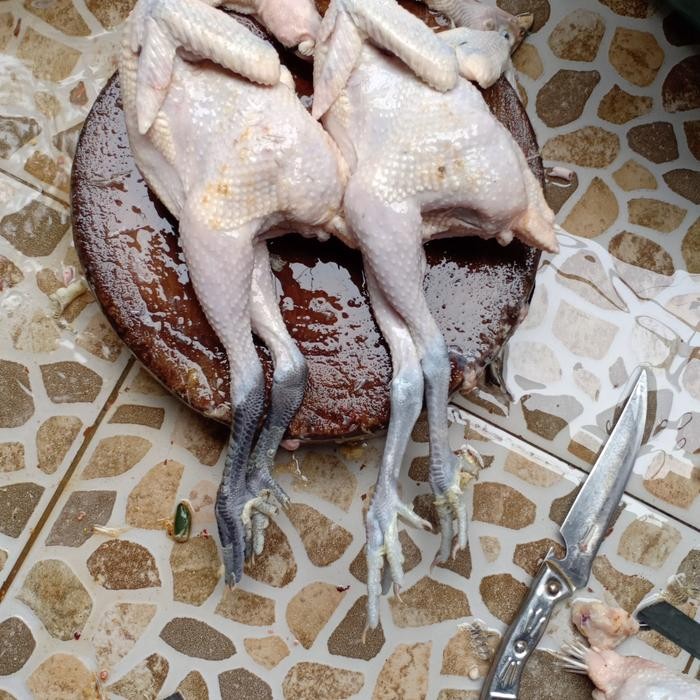 

BeliSkrg,KirimHariini- Ayam Kampung Fresh (Berat hidup 1000 gram)