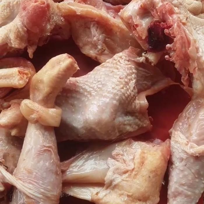 

BeliSkrg,KirimHariini- Ayam merah parting isi 1kg/ayam tua/ayam petelor/ayam afkir