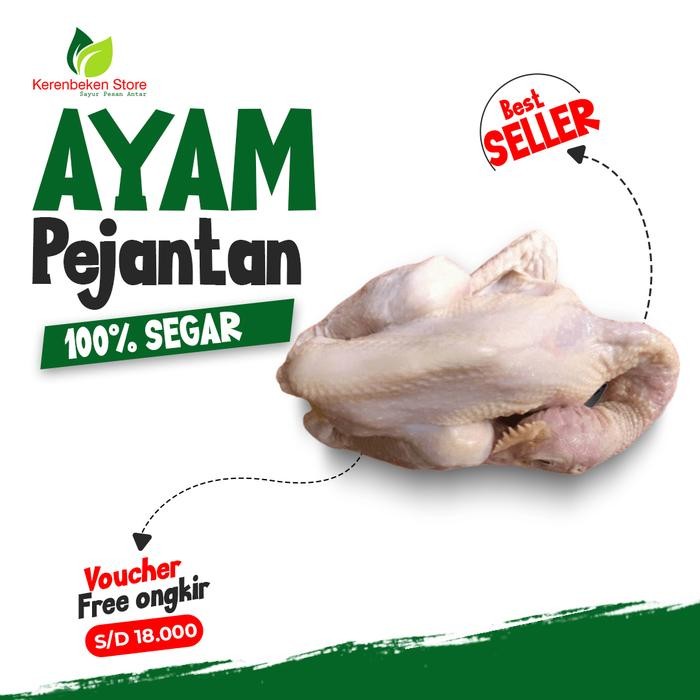 

BeliSkrg,KirimHariini- ayam pejantan utuh per ekor berat 1500 - 1800 gr