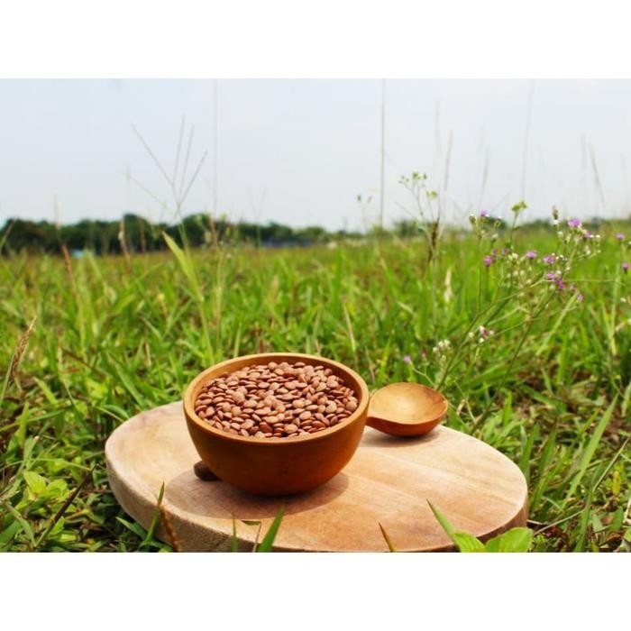 

PastikanDikirimLgsg- Natural Brown lentils/ Kacang Lentil Coklate Organic 1 Kg