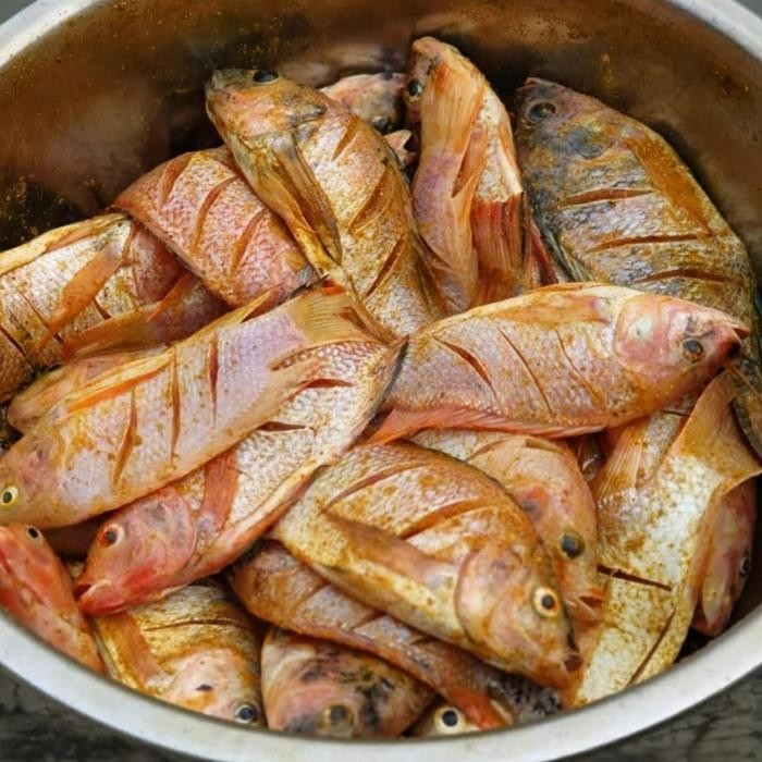 

PastikanDikirimLgsg- ikan nila ungkep bumbu kuning frozen siap goreng plus sambel korek