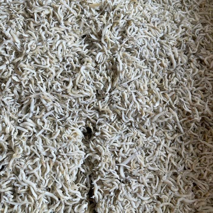 

PastikanDikirimLgsg- Teri nasi / Teri medan kecil 500gram