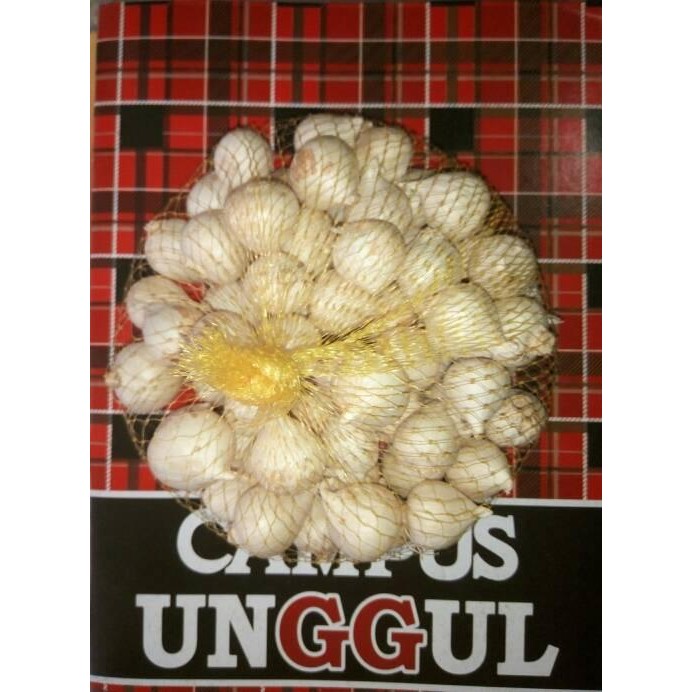 

New Bawang Putih Tunggal / Bawang Lanang -Bawang Kesehatan Herbal 500gr