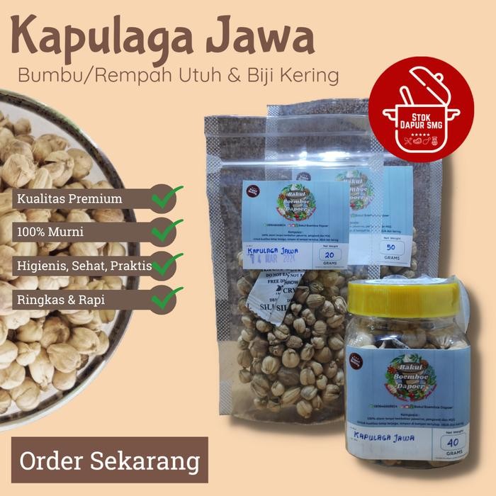 

yang dicari] 20gr 50gr KAPULAGA JAWA / TRUE CARDAMOM / REMPAH PREMIUM QUALITY
