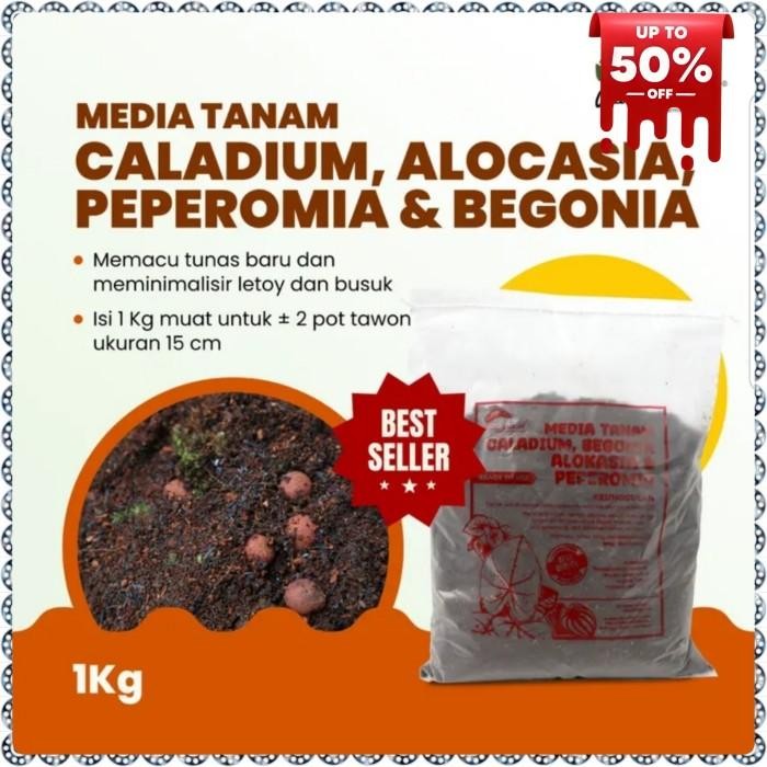 Evergreeeen Media Tanam Alocasia Siap Pakai - Media Tanam Alocasia 1 Kg