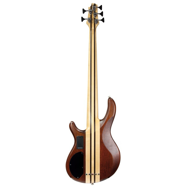 CORT Electric Bass Guitar Artisan A4 / A5 PLUS FMMH-OPN