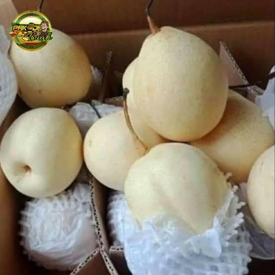 Terlaris (1 KARTON) PEAR YA LIE / PEAR BIASA / BUAH PEAR/ BUAH SEGAR / 1 DUS Ready