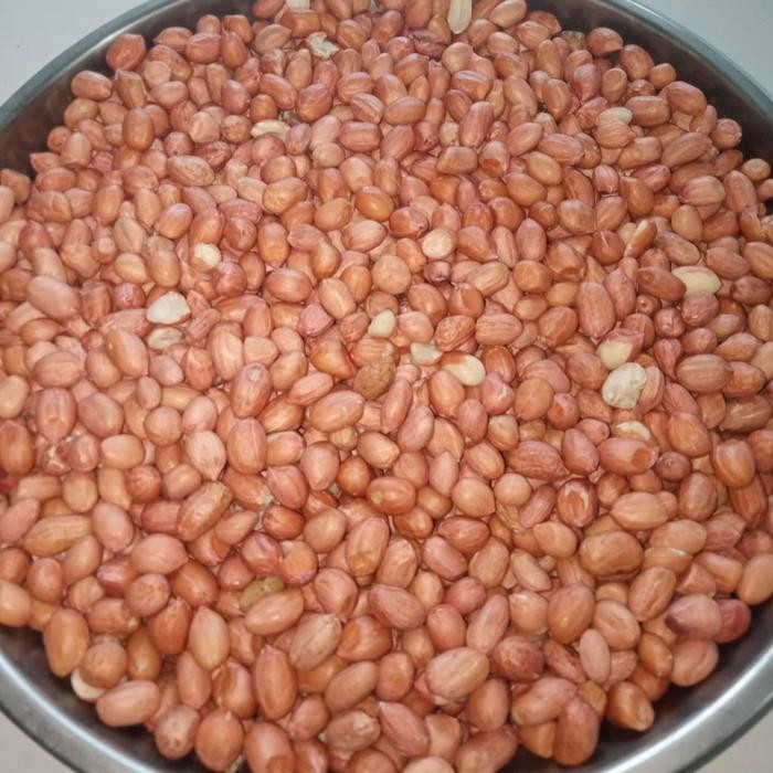 

PastikanTerjaminMutunya- kacang tanah