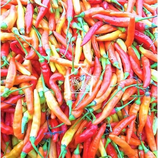 

BnyKBonusBelidiMari- Cabe Rawit merah Cabe Setan 1Kg