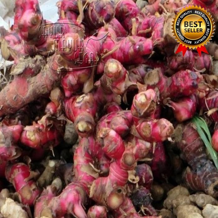 

BnyKBonusBelidiMari- Jahe Merah Fresh 500 gram