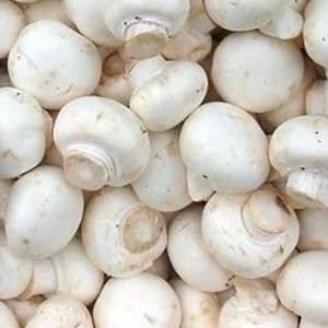 

BnyKBonusBelidiMari- PASAR ONLINE MURAH - JAMUR KANCING 250GR