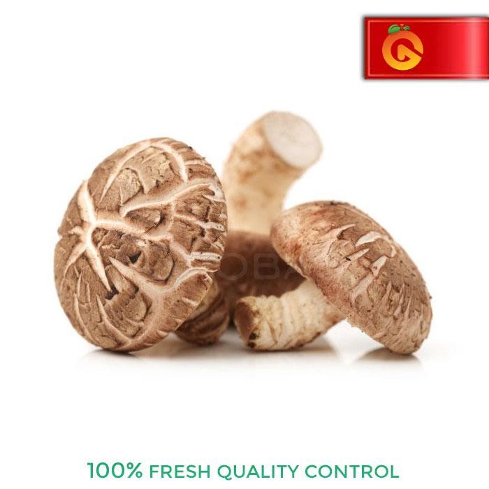 

BnyKBonusBelidiMari- JAMUR SHITAKE FRESH 250 GRAM
