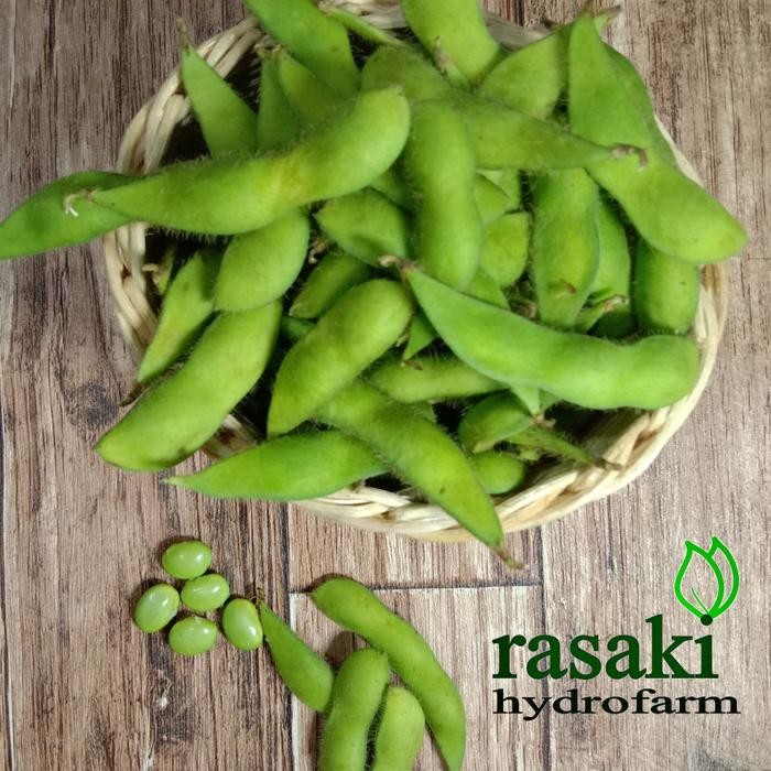

BnyKBonusBelidiMari- kacang edamame fresh 1 kg