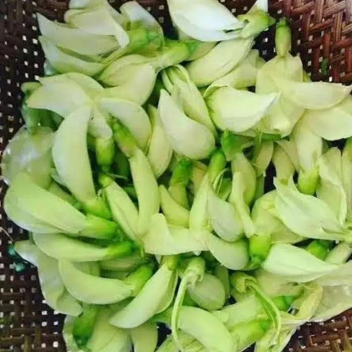 

BnyKBonusBelidiMari- Kembang Turi / Bunga Turi Segar per500gram