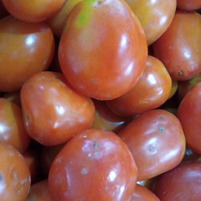 

BnyKBonusBelidiMari- tomat buah super 1kg