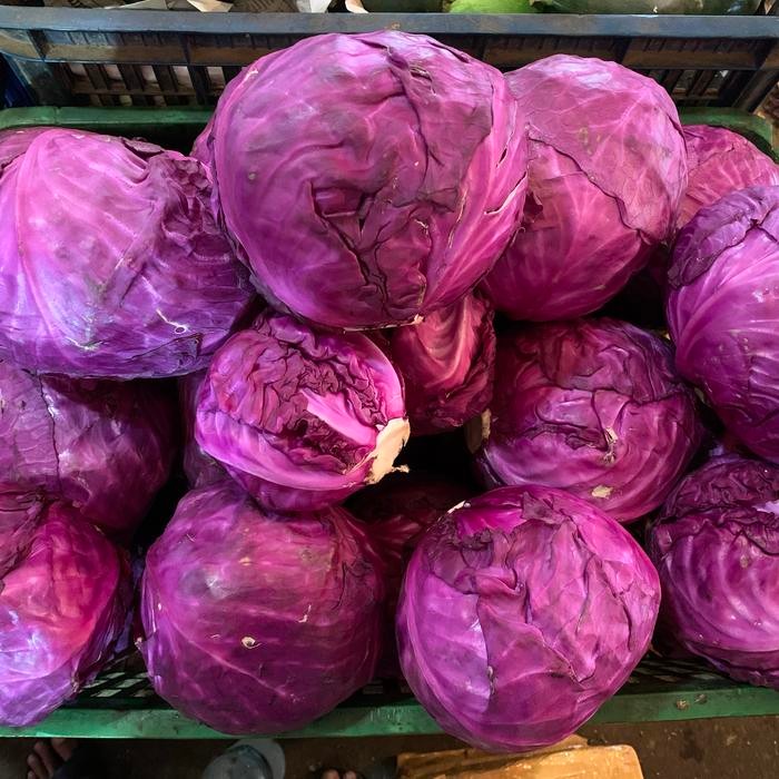 

BnyKBonusBelidiMari- kol merah FRESH promo termurah / Red Cabbage / Sayur Kol Merah Segar