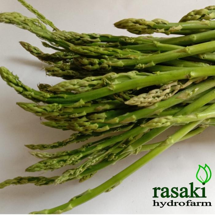 

BnyKBonusBelidiMari- sayur segar asparagus organik 250gr