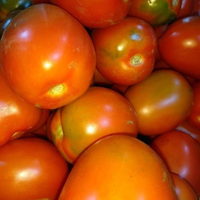 

BnyKBonusBelidiMari- tomat buah 1kg