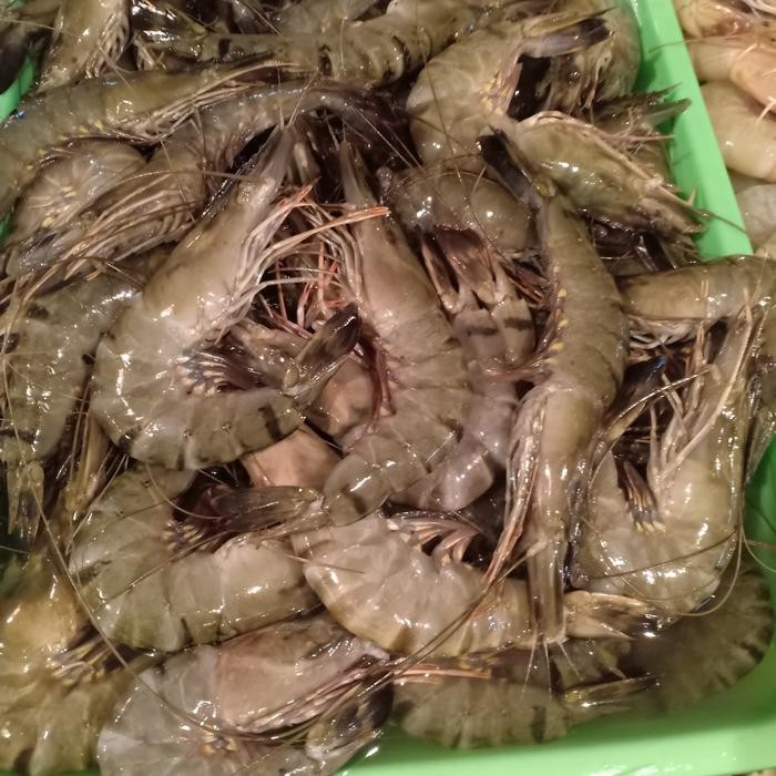 

PastiFreShNya- udang pancet jumbo 500gr