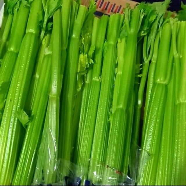 

BnyKBonusBelidiMari- Seledri Import Celery Stick Import China
