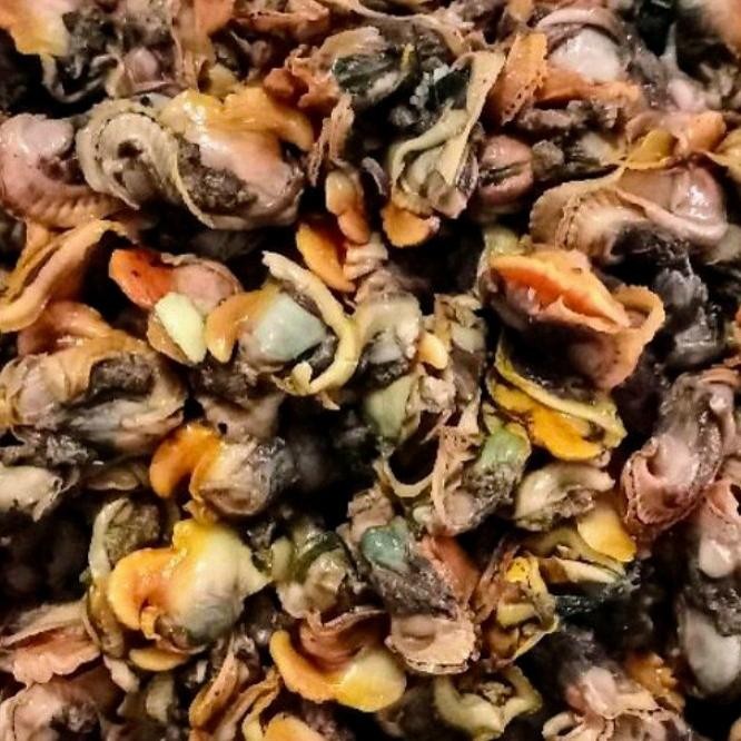 

PastiFreShNya- Daging kerang bulu kupas 1kg