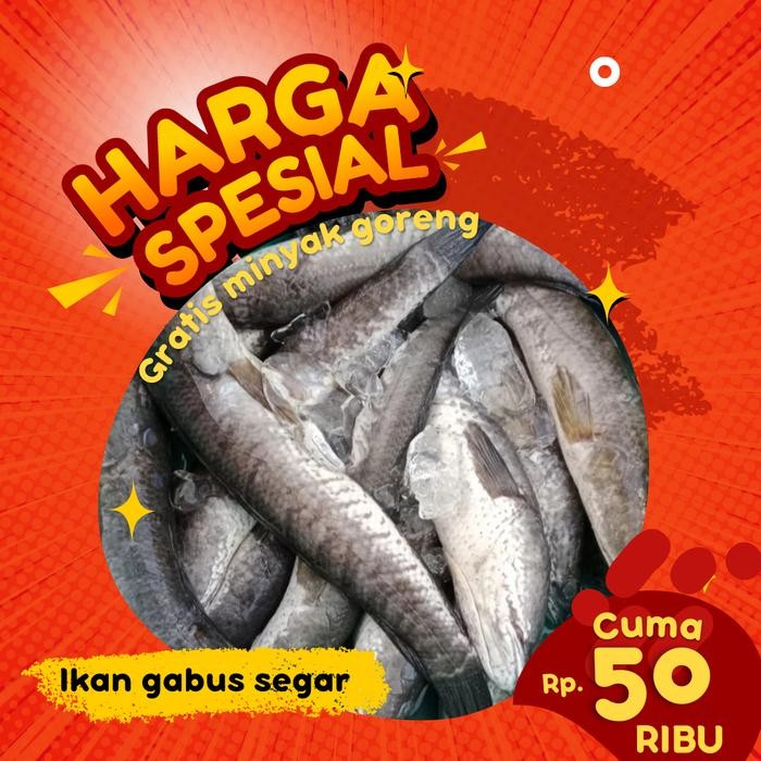 

PastiFreShNya- Ikan gabus mati segar 1kg Free dibersihkan