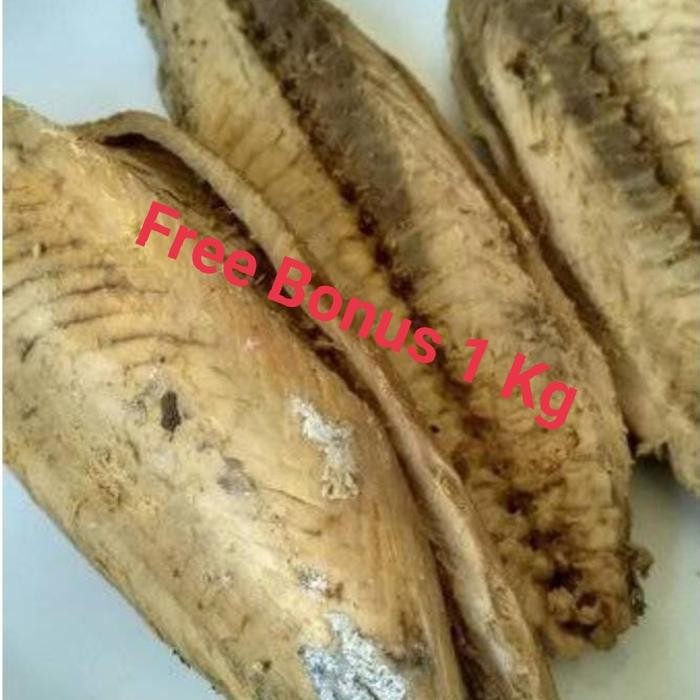 

PastiFreShNya- Ikan Tongkol Asap + Gratis Bonus