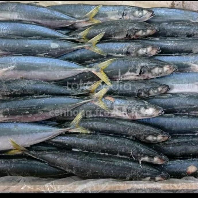 

PastiFreShNya- ikan layang jumbo beku 1 kg