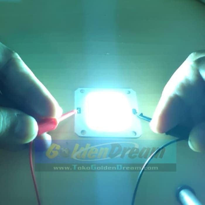 BURUAN,. LED COB 12V X 50W MOTOR MOBIL ACCU AKI PANEL SURYA LAMPU SOROT 50 WATT