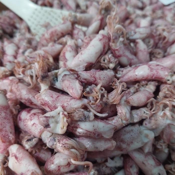 

terbaru !!! 1kg baby cumi asin jarum top/baby cumi kualitas terbaik 100% empuk 1kg ready