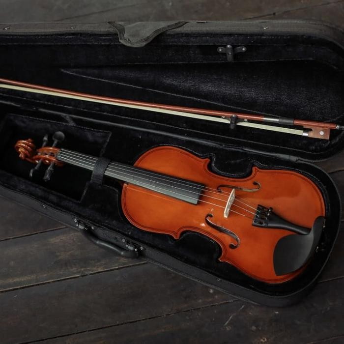 Biola Vienna Original Full Set Hardcase / Biola Akustik Impor