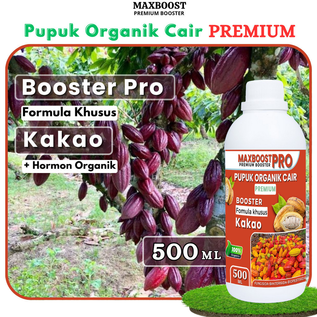 PUPUK ORGANIK CAIR BOOSTER KAKAO, POC MAXBOOST KAKAO, POC KOMPOS 100 ORGANIK MELEBATKAN SECARA
