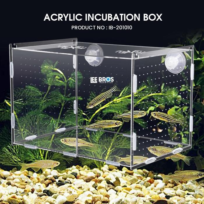 Acrylic Incubation Box / Isolation Box / Akrilik Karantina Ikan #Gratisongkir