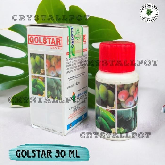 New pupuk mempercepat BUAH goldstar 30ml