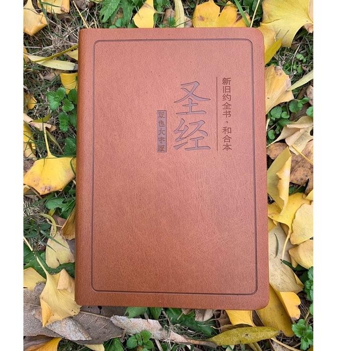 ready Alkitab Mandarin Tulisan besar/Chinese Bible / Brown Cover