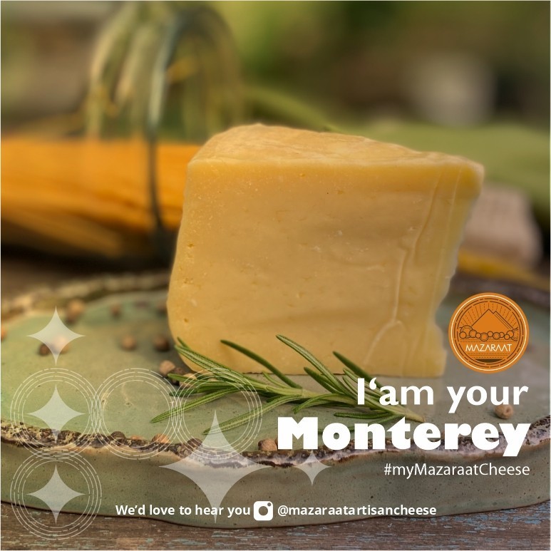 

MAZARAAT KEJU MONTEREY (JACK CHEESE) BEST SELLER
