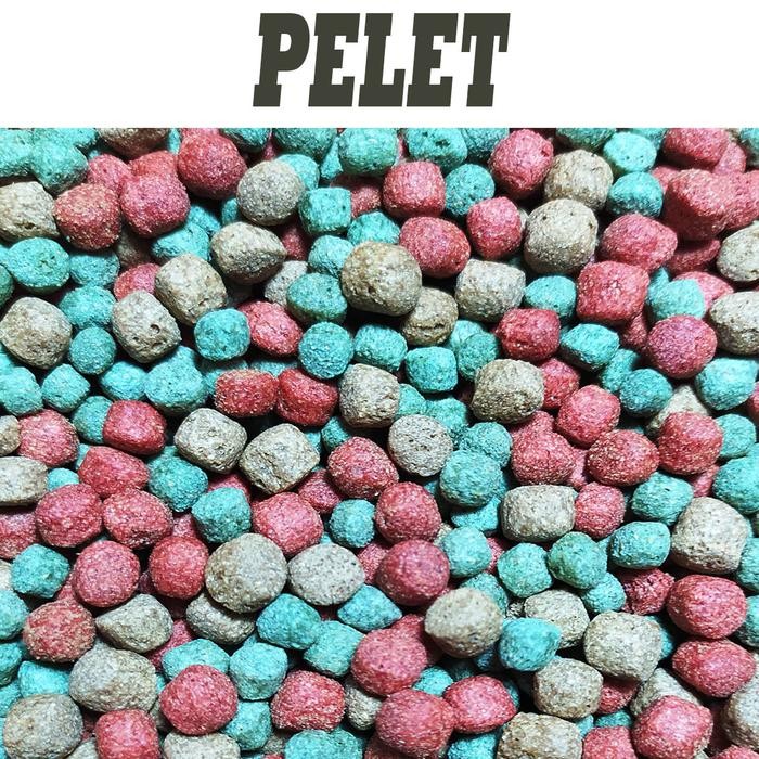 Pawfect Grooming 1Kg Makanan Small Pelet Baby Sulcata Pardalis Instar Pakan Tortoise