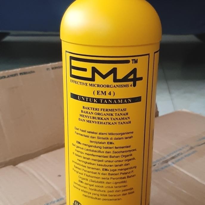 

BEST PRODUK EM4 MENYUBURKAN DAN MENYEHATKAN TANAMAN