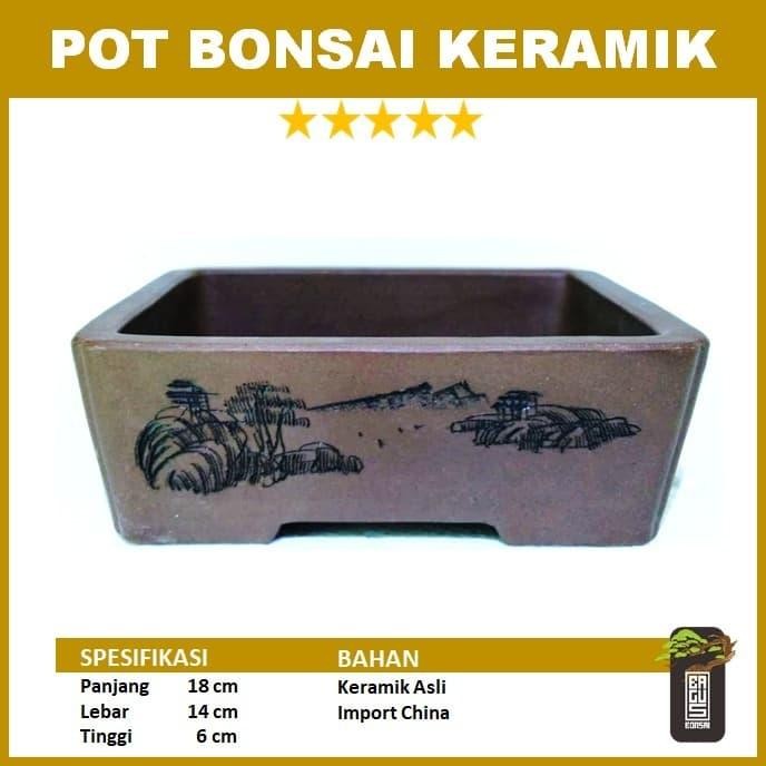 PREMIUM POT BONSAI KERAMIK_segi panjang_small (@bonsaibagus)