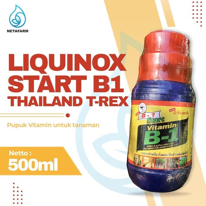 Liquinox Thailand T-rex Start B1 Original 500ml