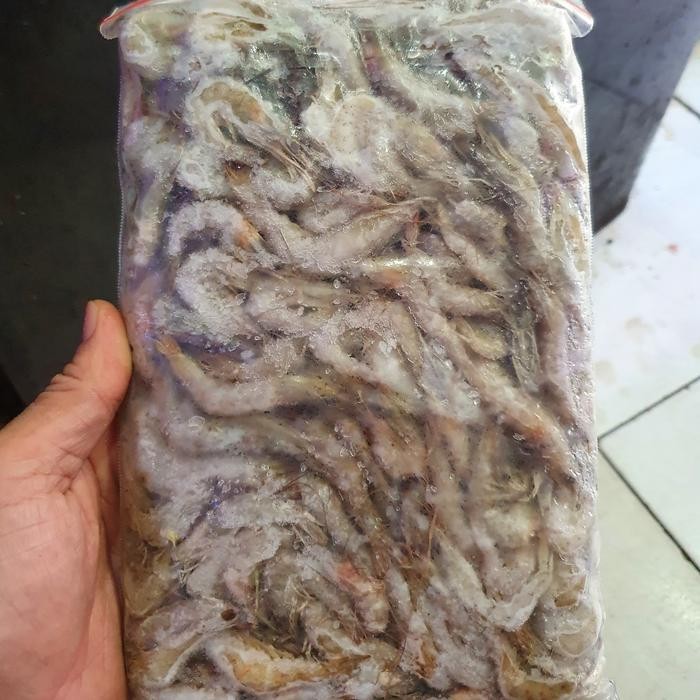 Pawretty- udang beku pakan ikan