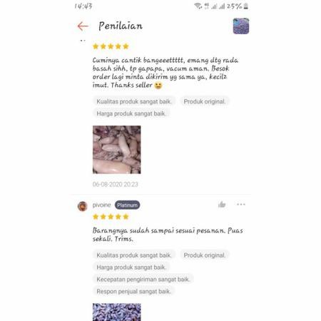 

Terlaris- Baby Cumi Fresh 1 Kg