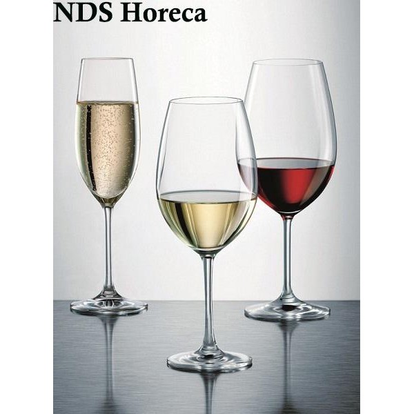 Schott Zwiesel Ivento / Wine Glass / Flute Glass / Gelas Wine