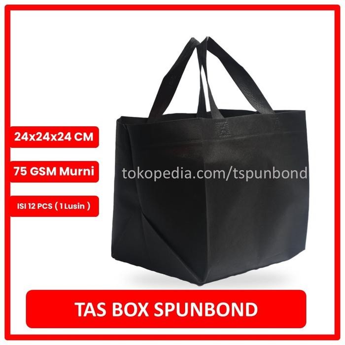 

Pesta- TAS BOX SPUNBOND HANDLE LUSINAN uk 24x24x24 / Goodie Bag Box Handle