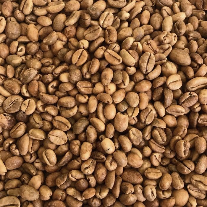 

Kopi Green Bean Asisa 1 Kg Kopi Excelsa Wonosalam PREMIUM