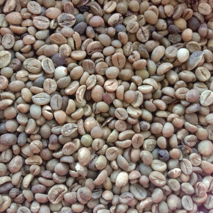 

Biji Kopi Green Bean Robusta Asli 1 kg