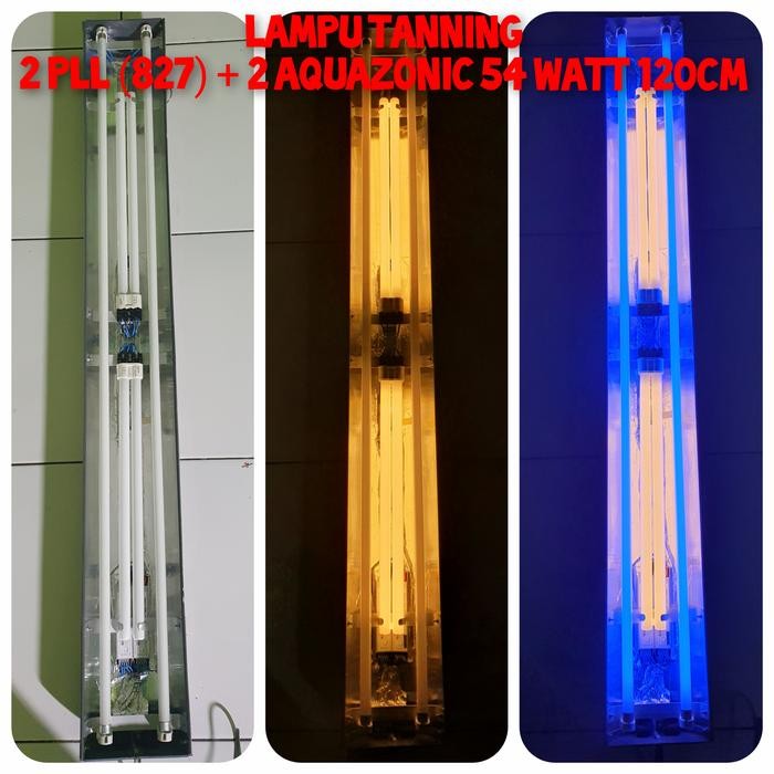 PREMIUM Lampu Tanning 2 PLL 827 + 2 Aquazonic Blue 54watt 120cm