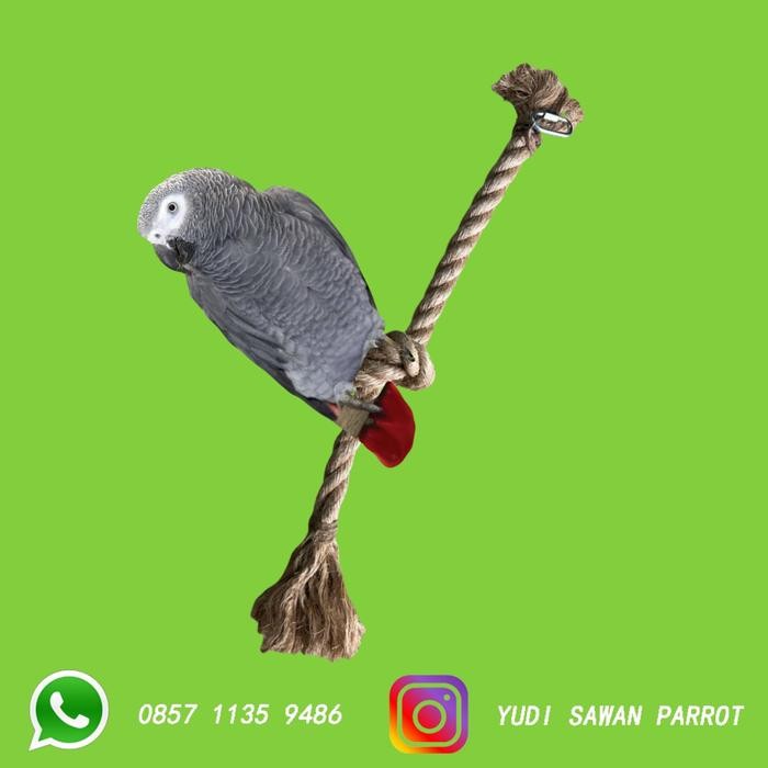 PREMIUM Toys Mainan Parrot Tali Burung Kakatua Macaw Conure Falk